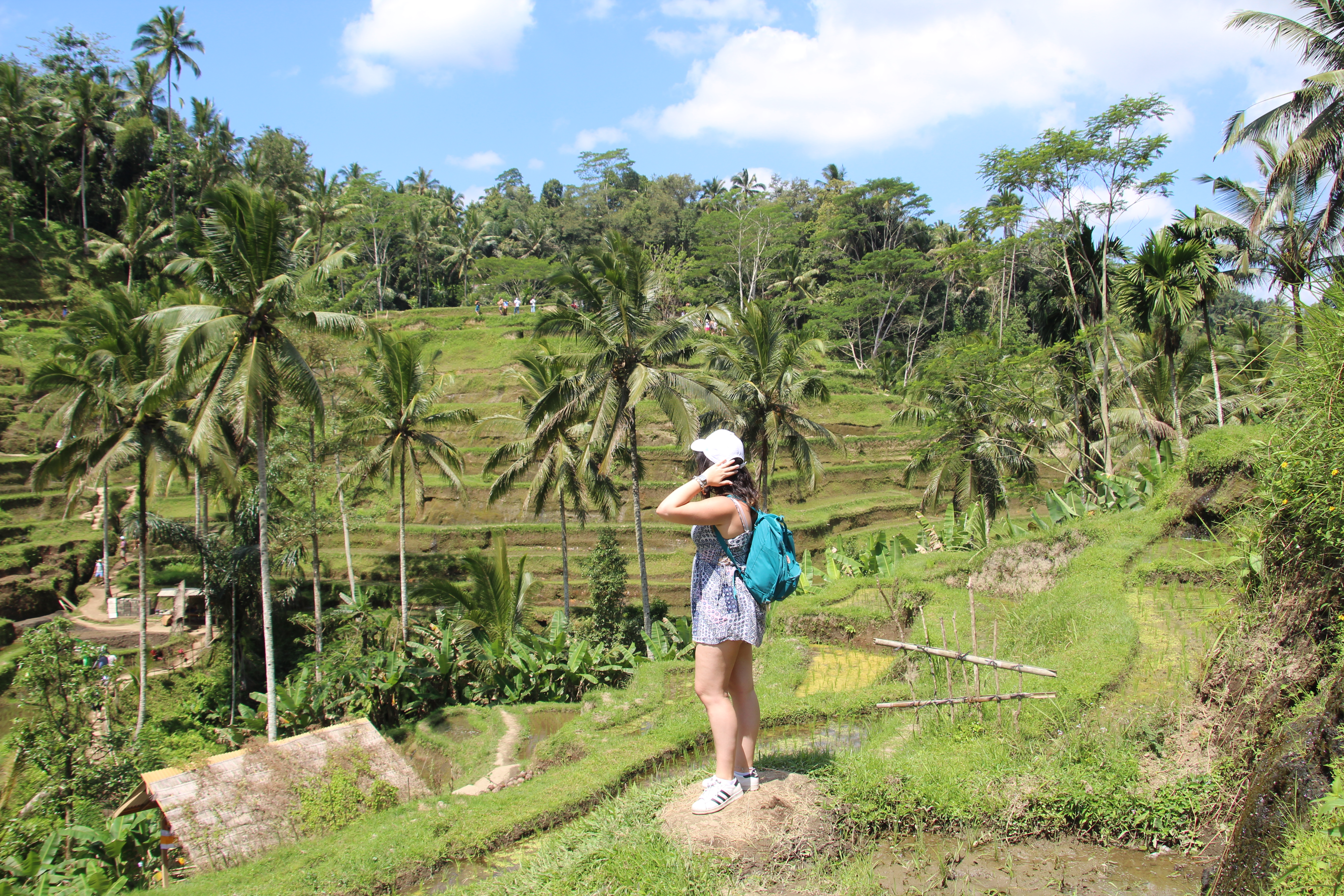 Viaje a Bali