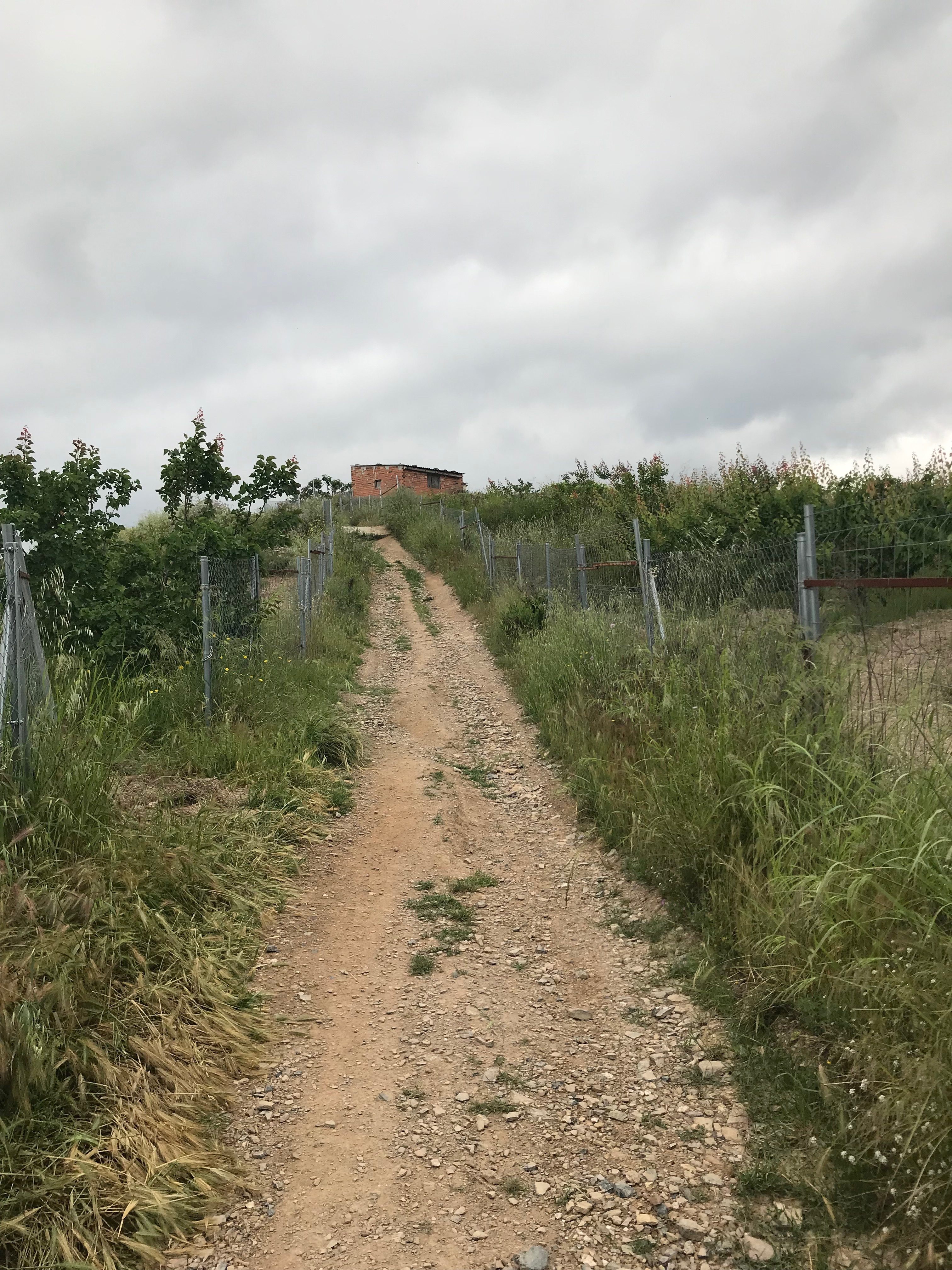 Cómo llegar a las cuevas de Can Riera