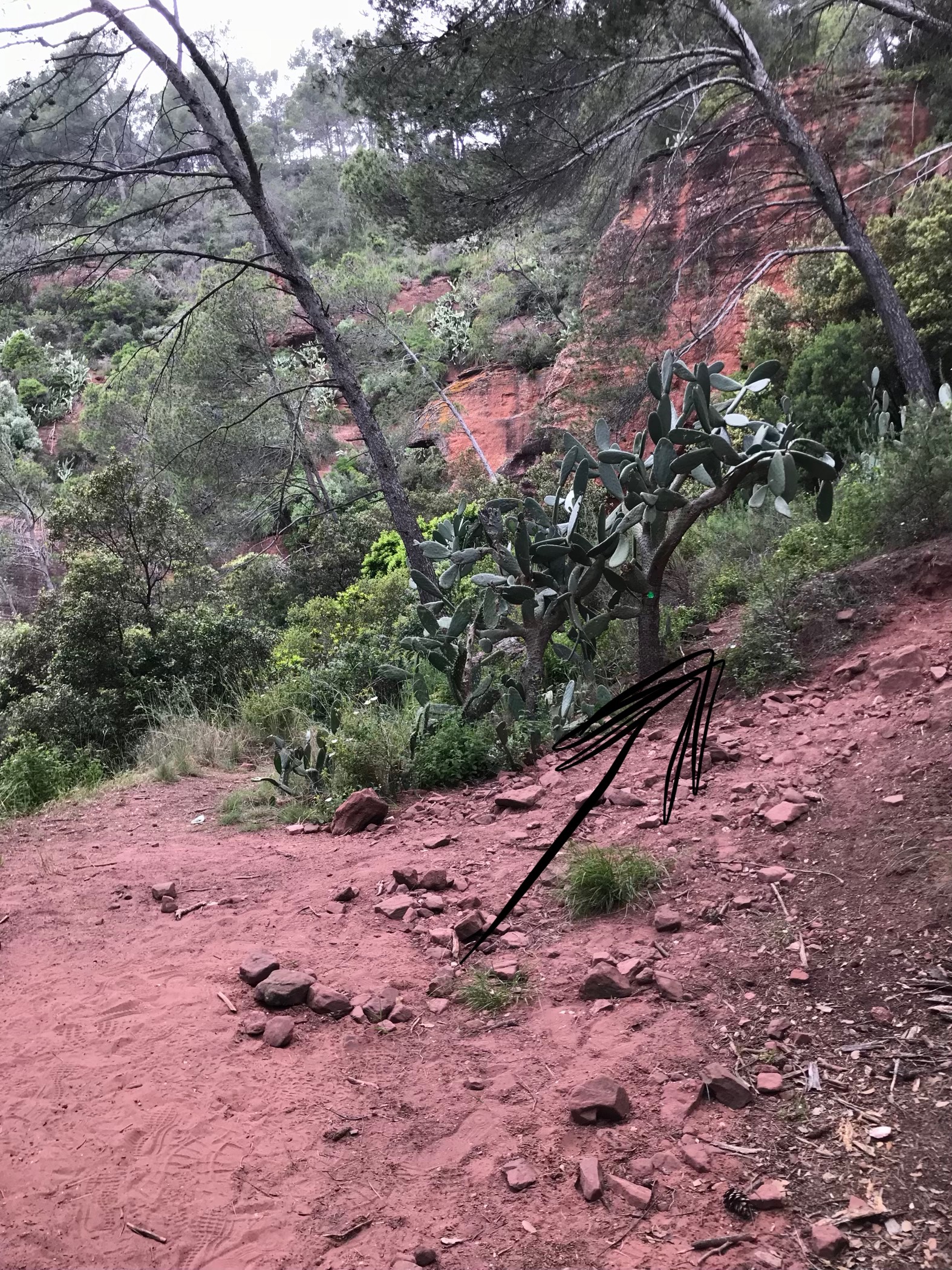 Cómo llegar a las cuevas de Can Riera