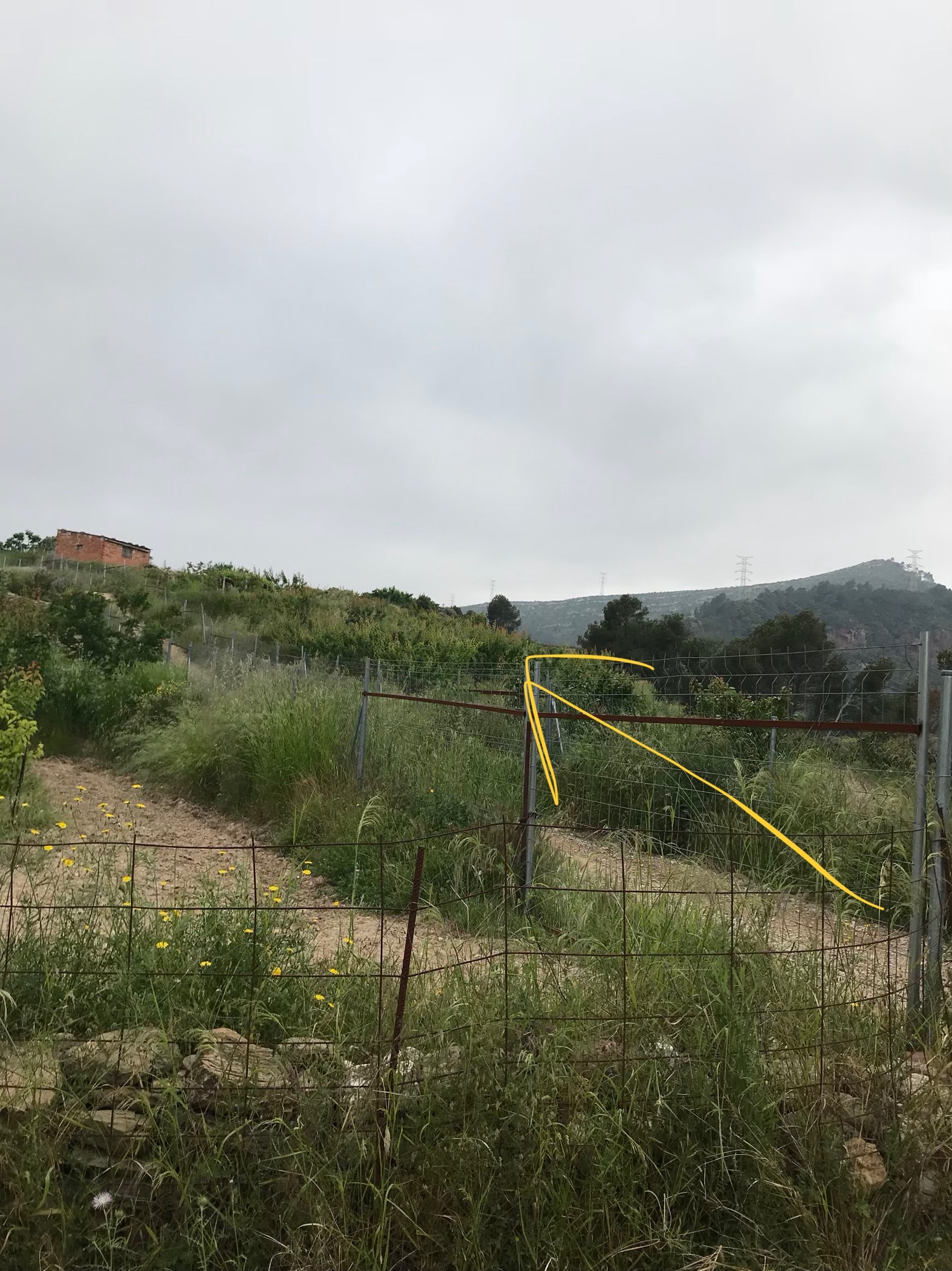 Cómo llegar a las cuevas de Can Riera