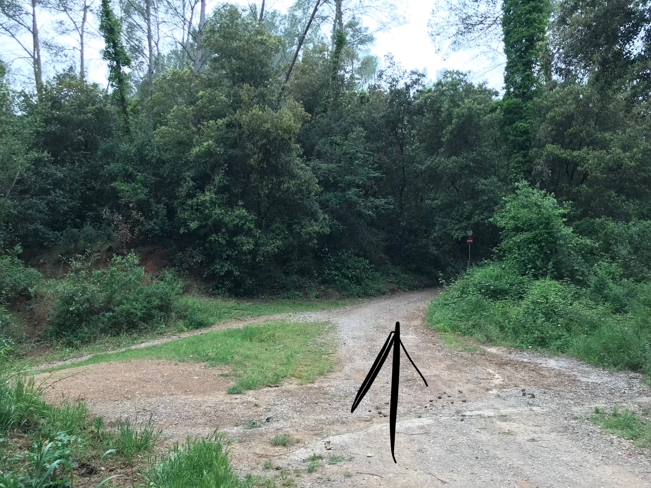 Cómo llegar a las cuevas de Can Riera