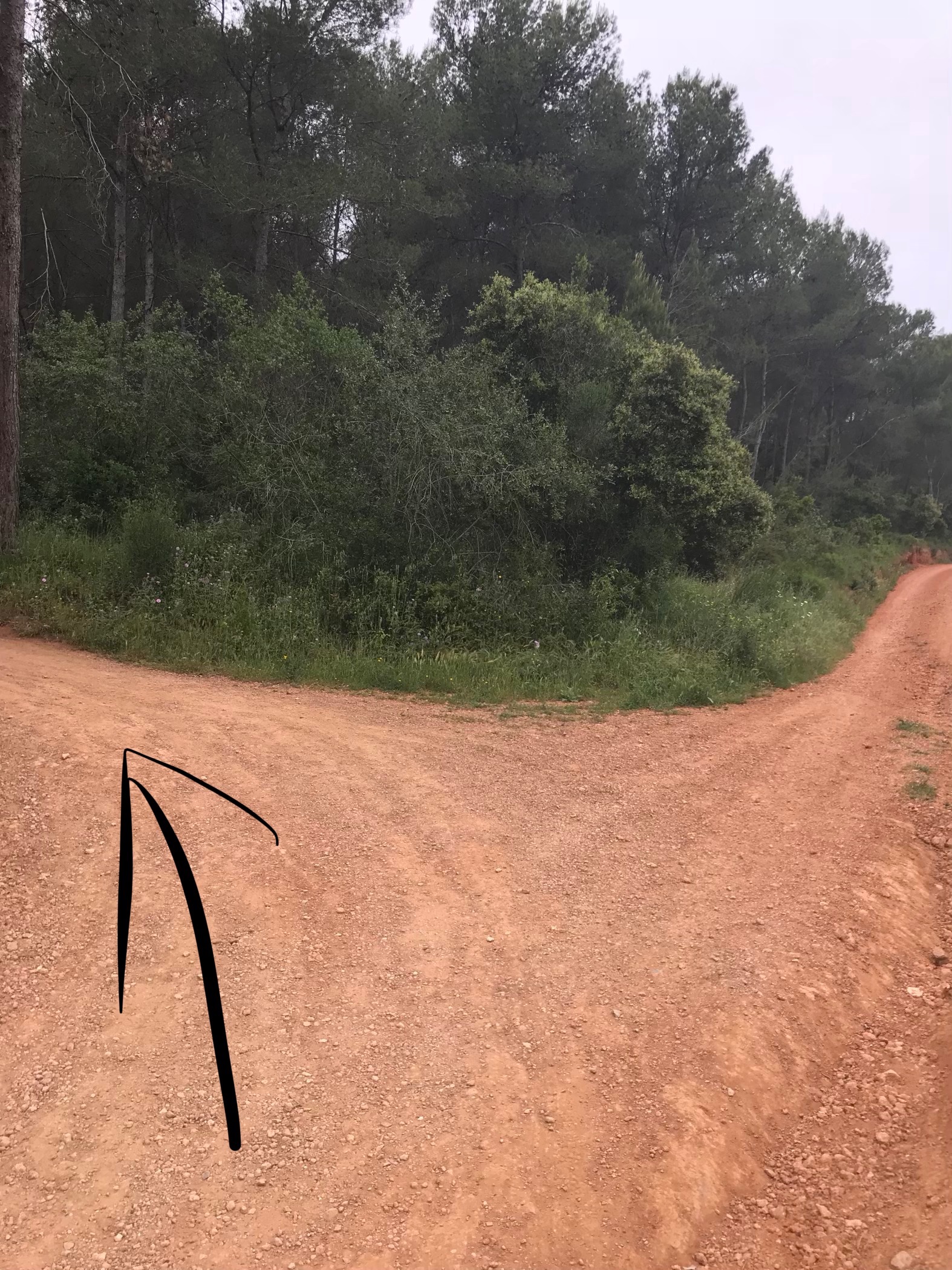 Cómo llegar a las cuevas de Can Riera