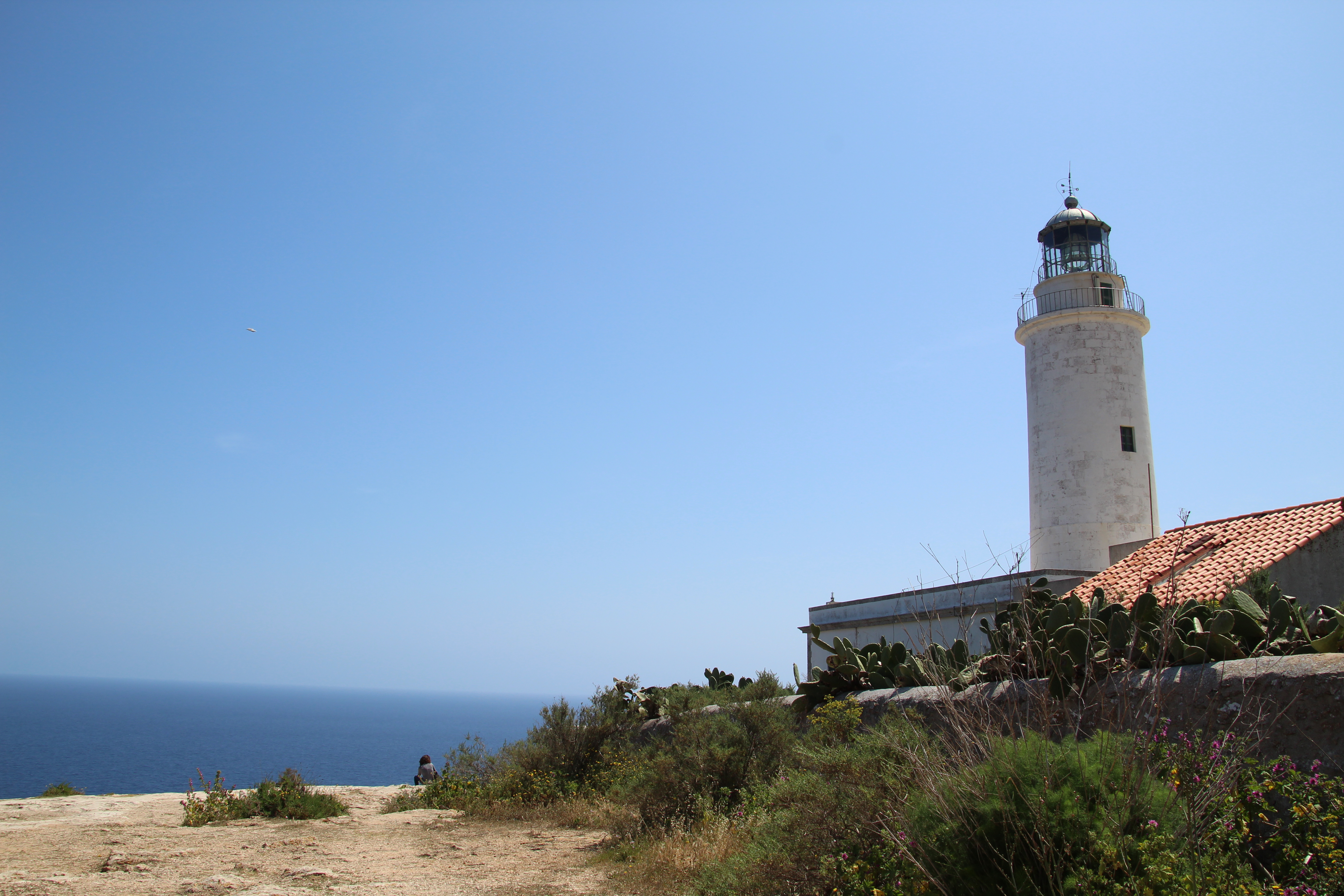 Qué ver en Ibiza excursión a Formentera