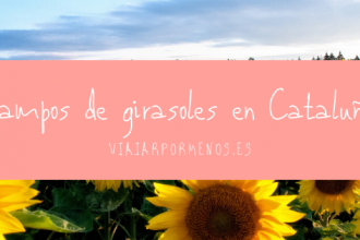 Campos de girasoles en Cataluña