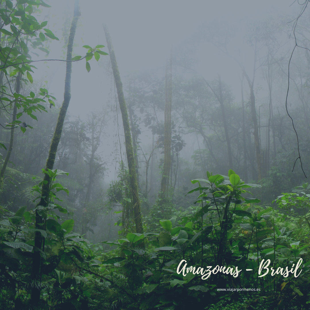 Viajar sin salir de casa Amazonas