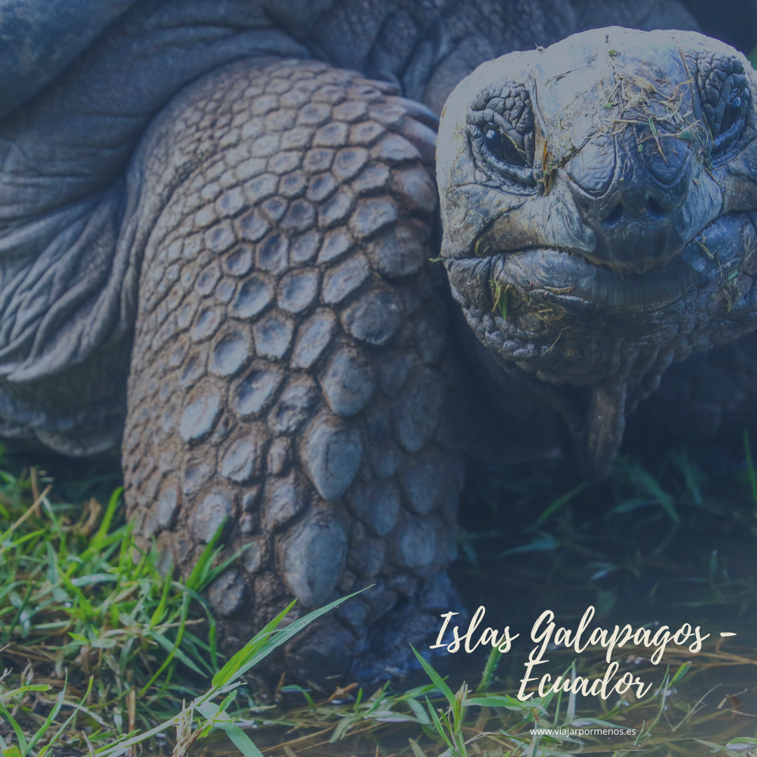 Viajar sin salir de casa Islas Galápagos