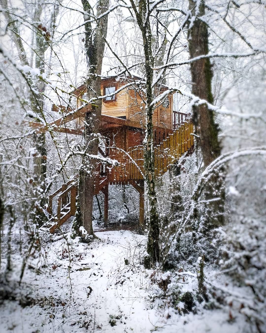 Los mejores glampings de España Basoa Suites
