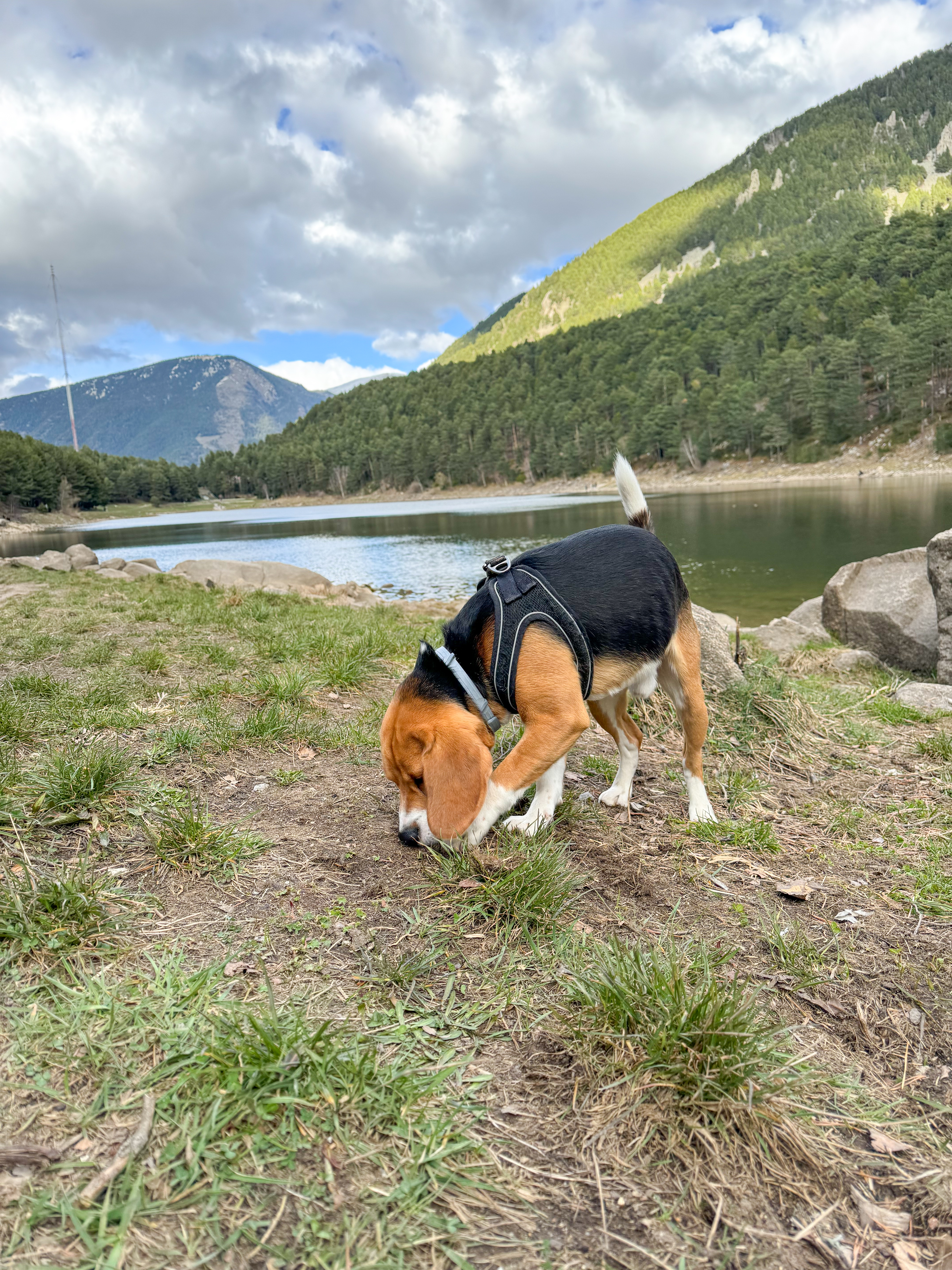 Andorra con Perro Llac d'Engolasters
