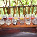 Guía de Bali plantación de té