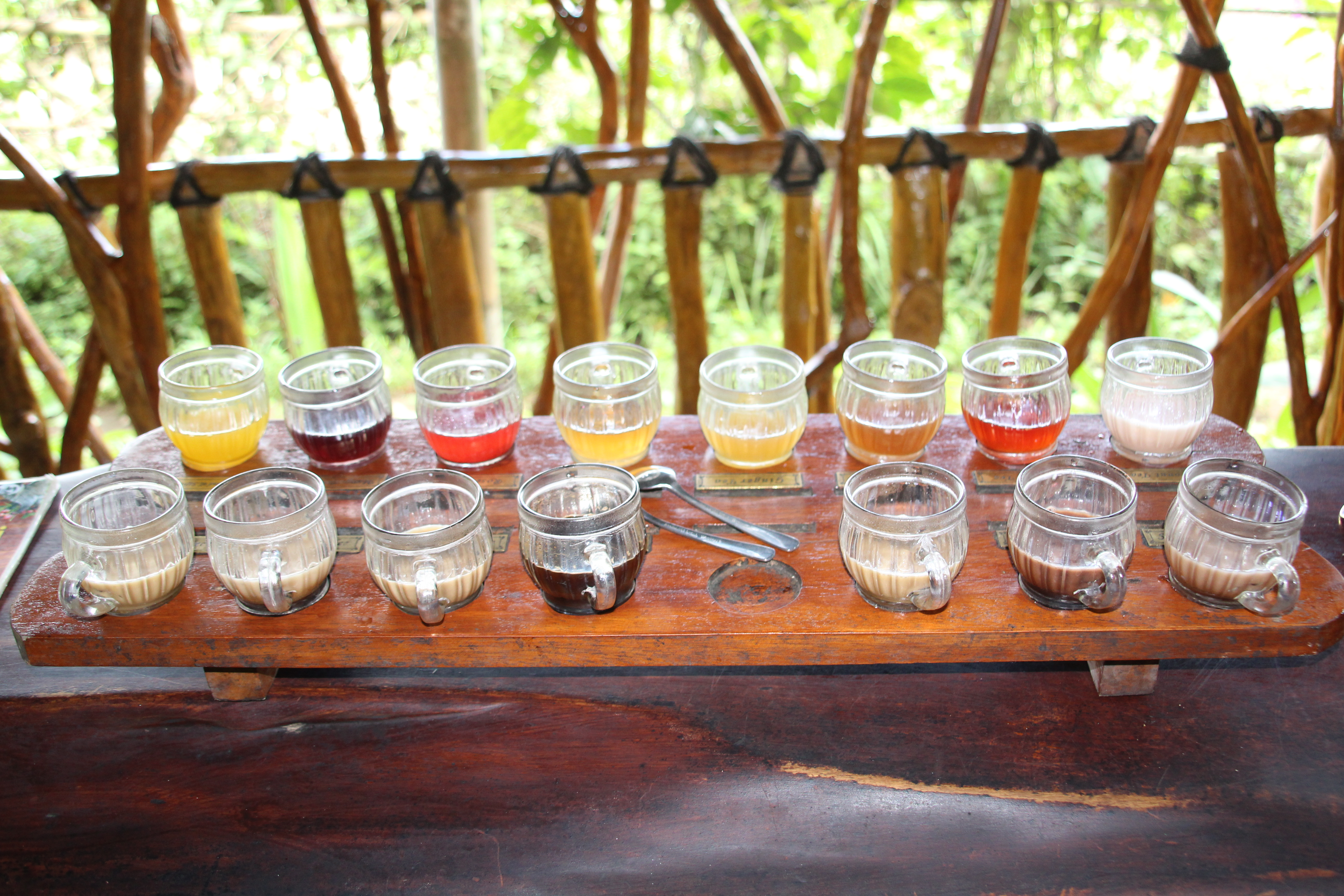 Guía de Bali plantación de té