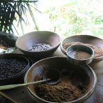 Guía de Bali plantación de té