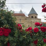 Viajar a Georgia