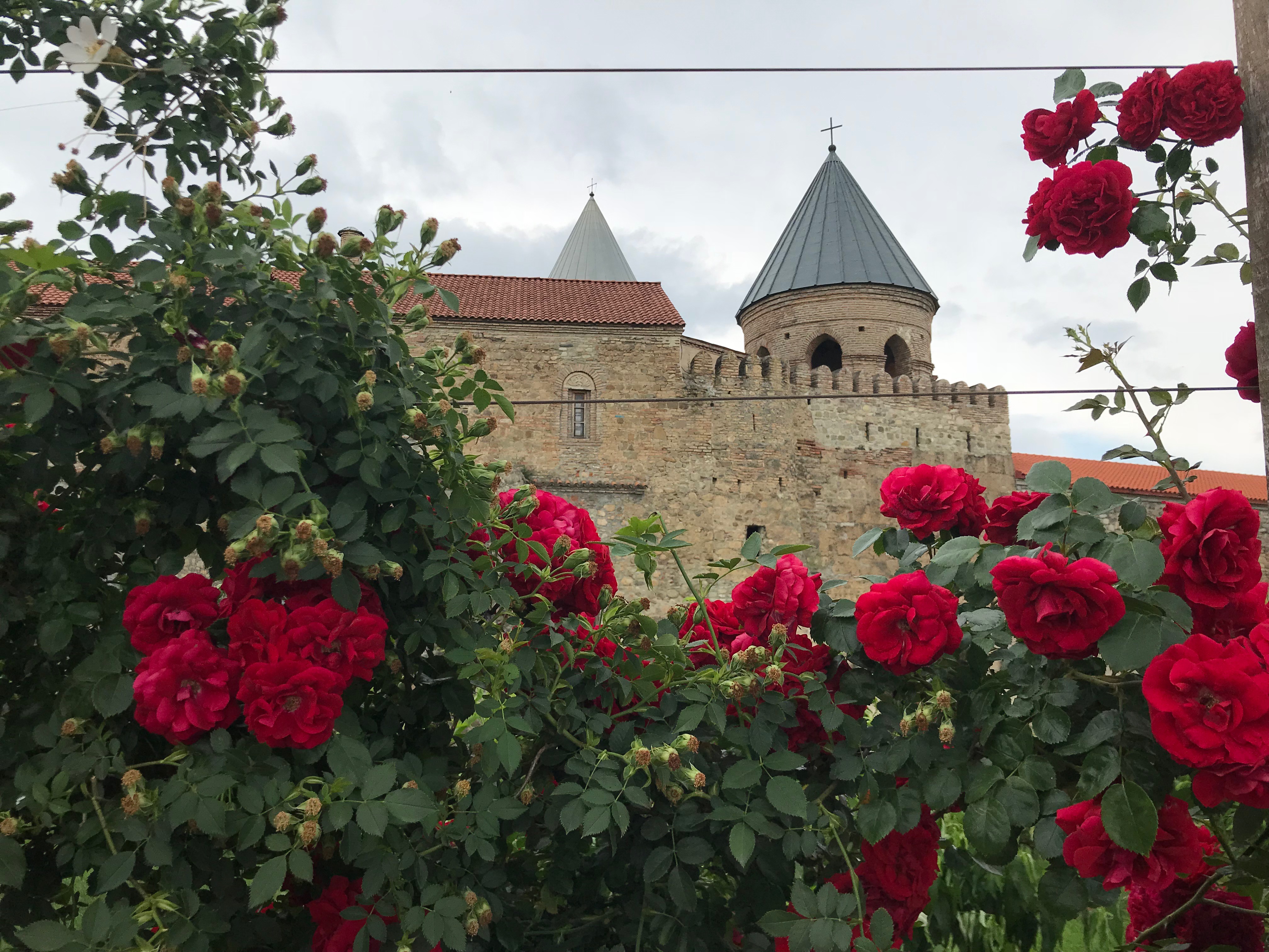 Viajar a Georgia