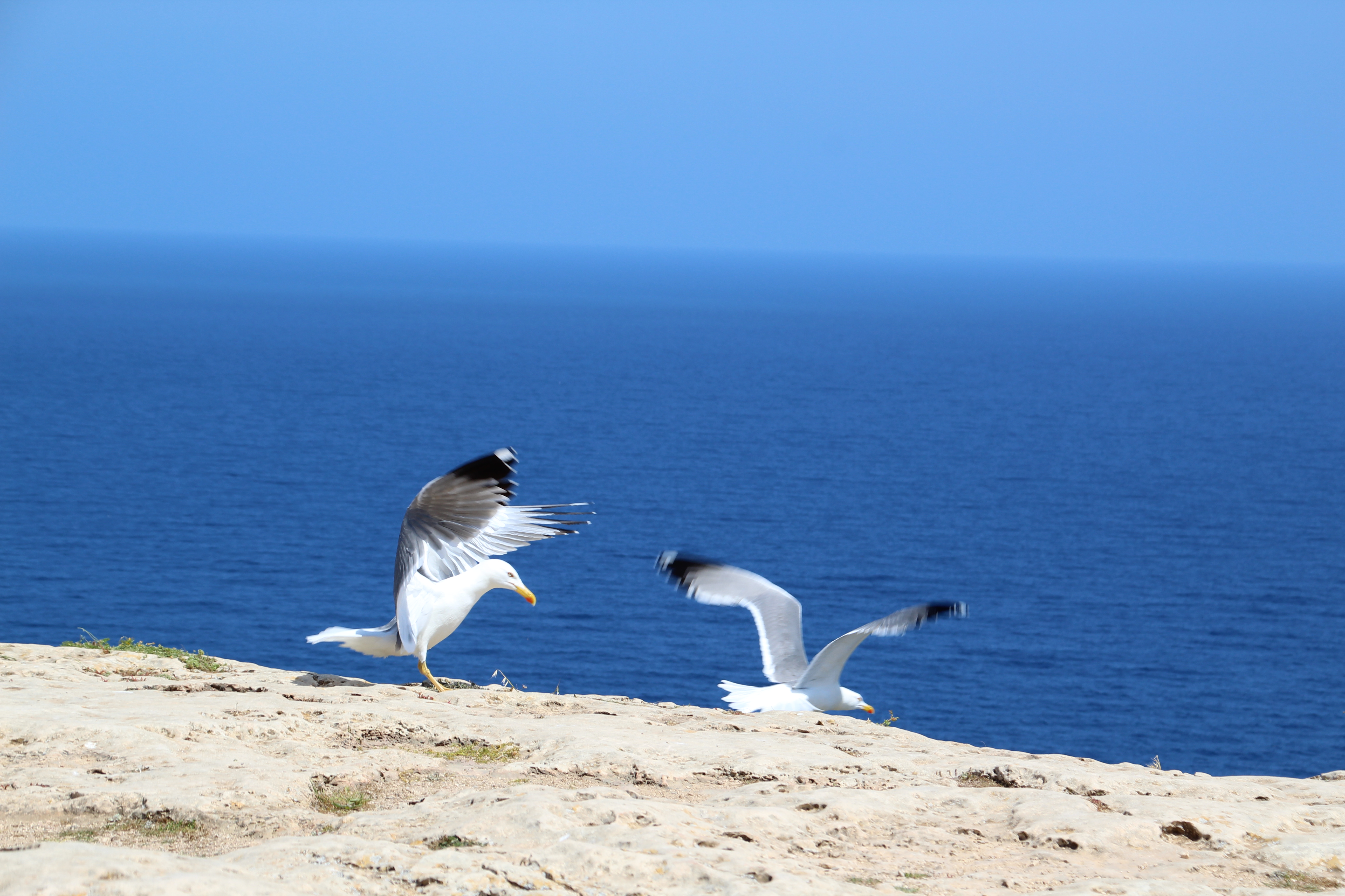 Qué ver en Ibiza excursión a Formentera