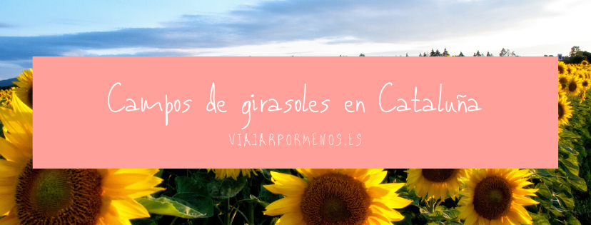 Campos de girasoles en Cataluña