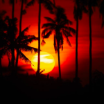 Los mejores Airbnb de Bali