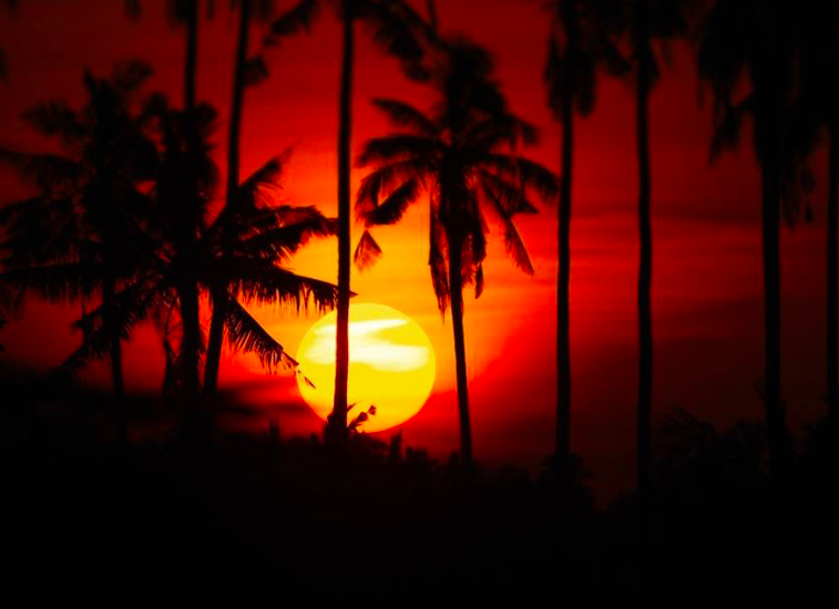 Los mejores Airbnb de Bali