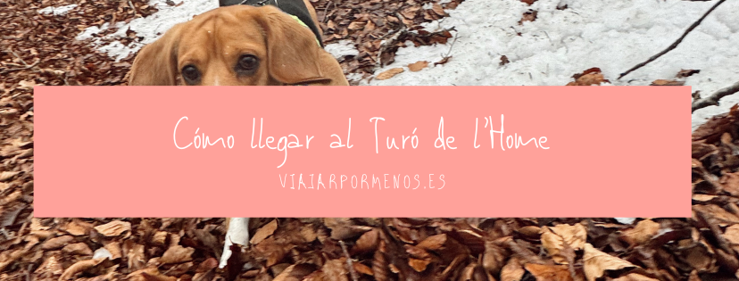 Cómo llegar al Turó de l'Home